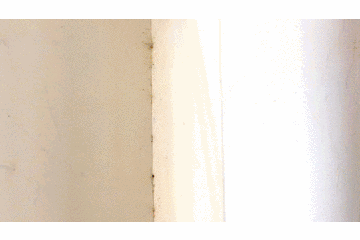 微信图片_20200722094941.gif