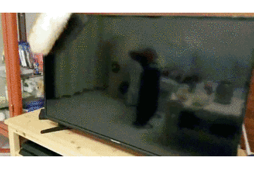 微信图片_20200722094945.gif