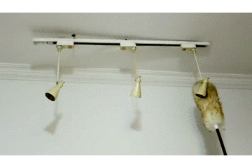 微信图片_20200722094955.gif